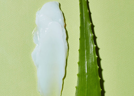 Beneficios del Aloe Vera para tratar el acné