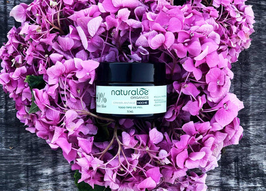 New In! Crema Noche Antiarrugas - Cuidado Rostro